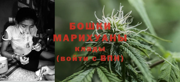 спиды Арсеньев